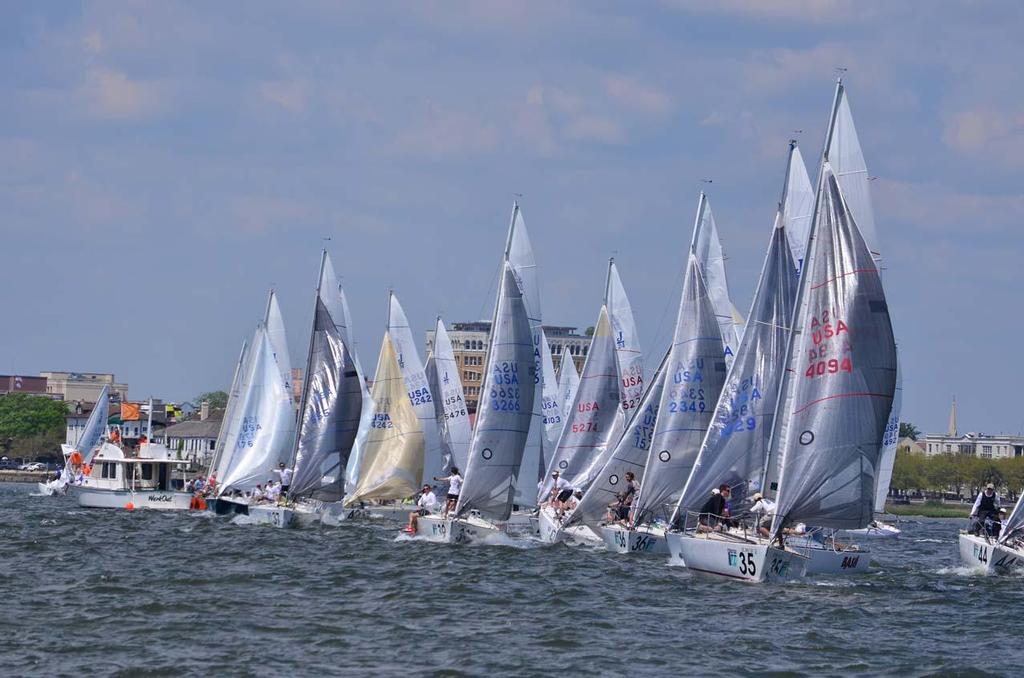 2014 Charleston Race Week - J/24 fleet © Chris Howell